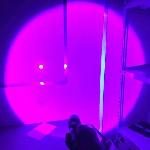충전식 LED UV 손전등 자외선 토치 줌이 가능한 미니 395nm UV 블랙 라이트, 애완 동물 소변 얼룩 감지기 전갈 사냥 6