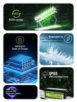 Aninerel STOCK ue LiFePO4 batterie 12.8V 304Ah 3.84Kwh 6000 + Cycles Bluetooth 12V 300Ah maison solaire RV voiturette de Golf batterie au Lithium 3