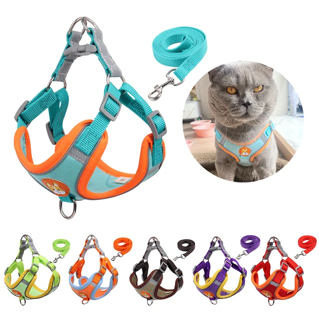 Pet Cat Harness And Leash Set: The Perfect Outdoor Accessory for Your Feline Friend