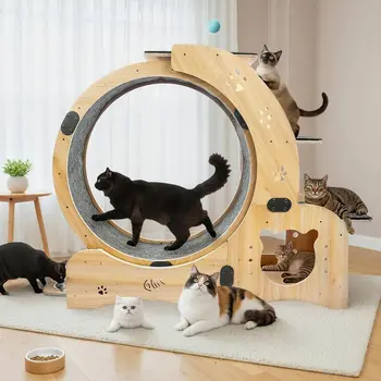6-in-1 Cat Activity Center 1