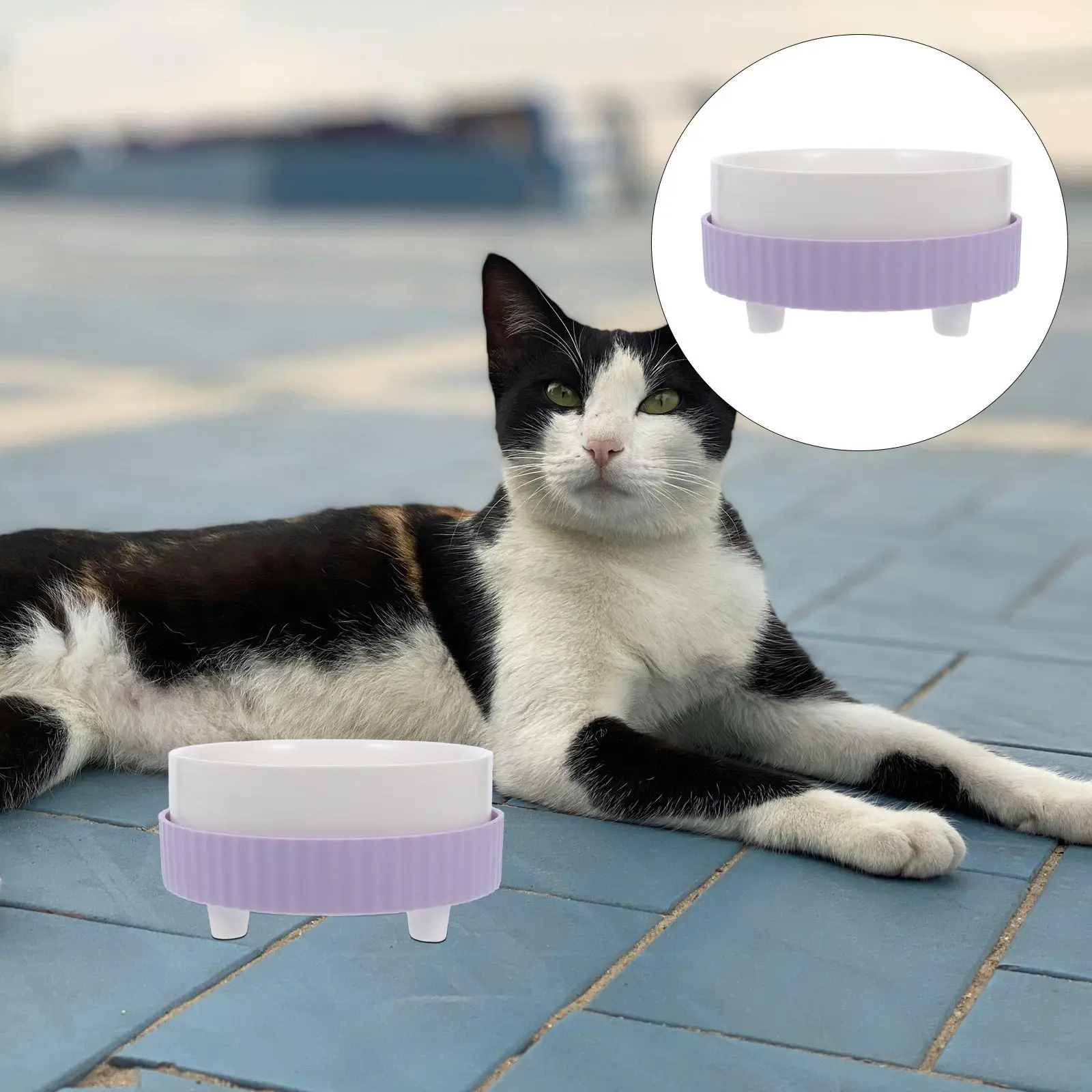 Kediler için 350Ml Termostatik Su Kasesi Isıtmalı Seramik Evcil Hayvan Dağıtıcısı İç Mekan Kullanımı Sıcak İçme Kasesi Kedi Hidrasyonu için