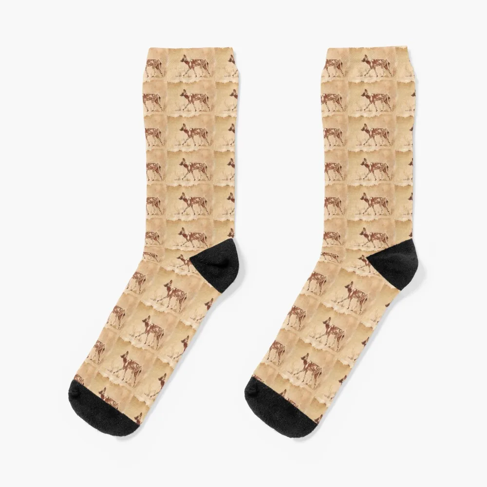 Painted Dog - African Wild Dog Socks tennis cute socks floral socks sports stockings Women Socks Men's