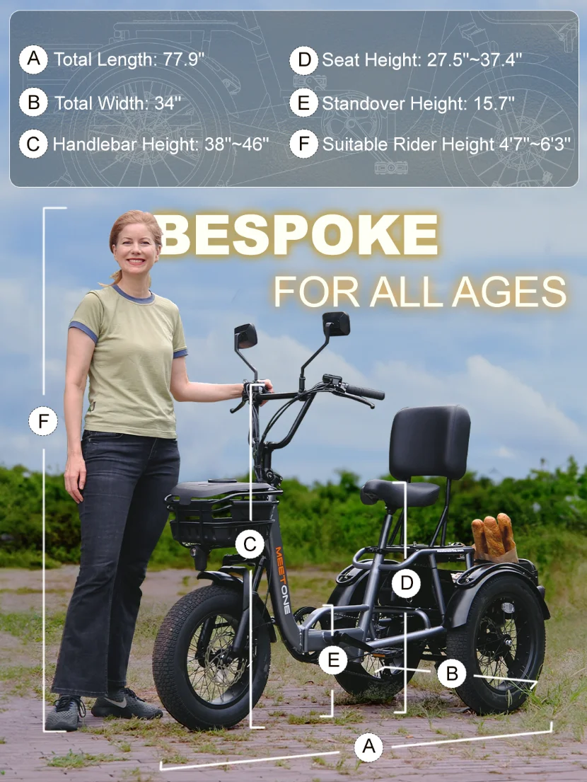 Meetone Breez Folding Electric Trike750W 20AH Lithium Battery Electro Trike Reversing Function 18*4-in Fat Tire Mountain E-Trike