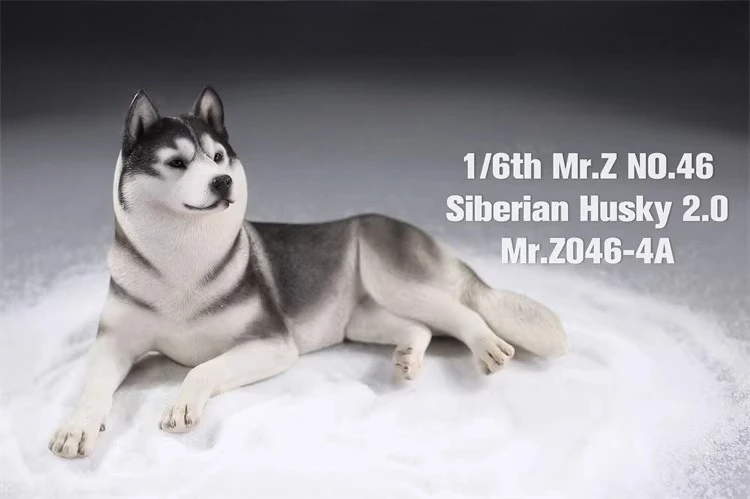 Mr.Z auf Lager: 1/6 Maßstab Simuliertes Tiermodell Hund Husky aus Harz für Hobbys, Heimdekoration, Auto-Ornamente, Geschenk – Detail 9