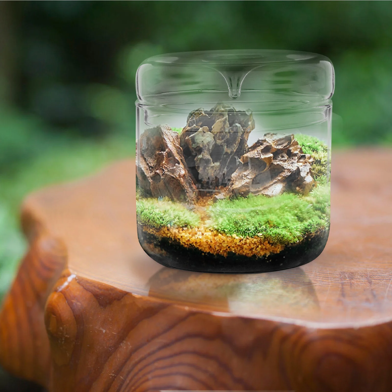 Glass Terrarium Mini Landscape Ecosystem Moss Plant Vase Bottle Planter Container Decor Home Office Garden Patios Creative Gifts 4