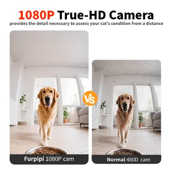 8L Smart Pet Feeder with 1080p Camera & WiFi - الصورة 3