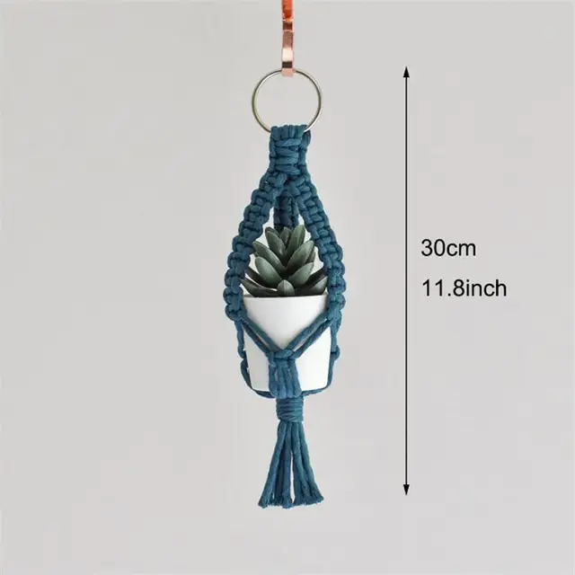 Air Plant Holder 01