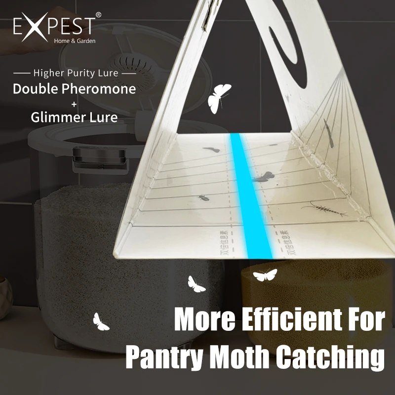 Expest 2pcs Pantry Moth Trap Containers Kitchen Food Sticky Glue Pheromone  Killer - AliExpress
