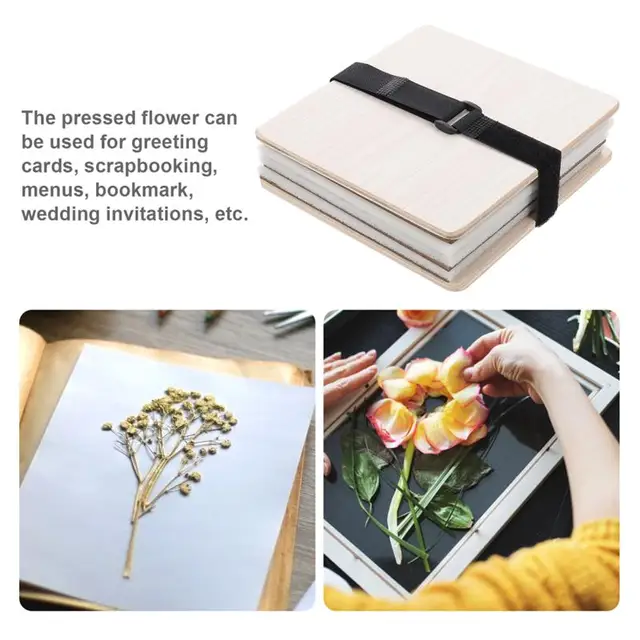 Blotting Paper for Dryplant Press Press Microwave Flower Preservation Kit  for DIY - AliExpress