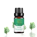 Cypress