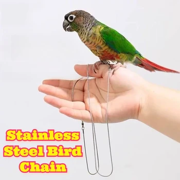 Stainless Steel Bird Leg Bands Leashes Set Cockatiels Parakeets Sun Conures Parrots Training Outdoor Walking Safety Restraint