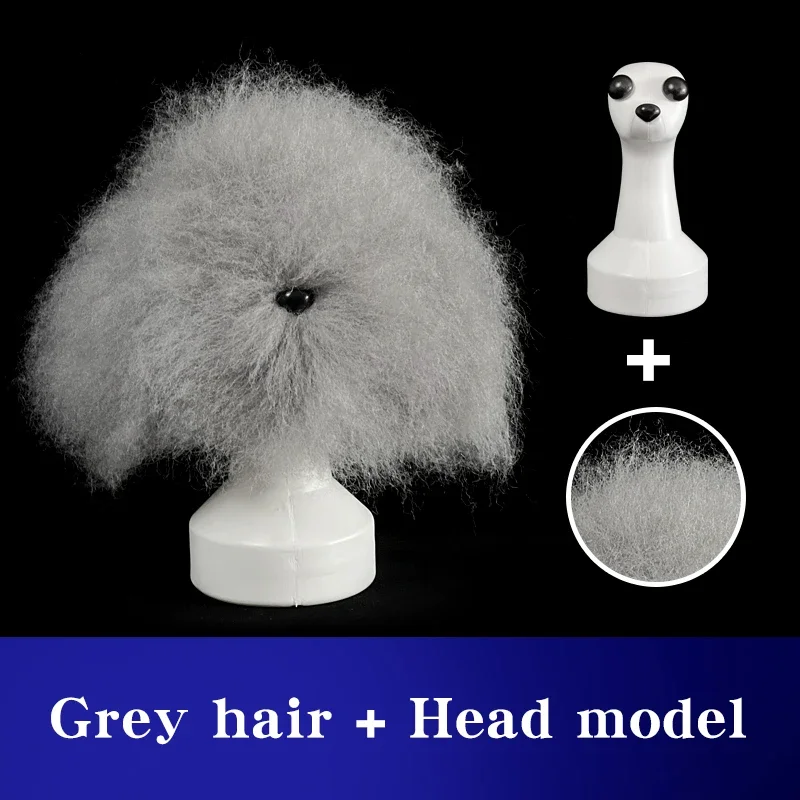 Grey hair and Model
