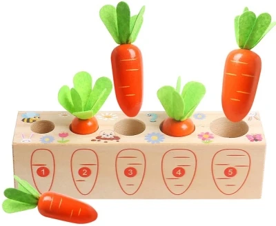 5 Carrots set