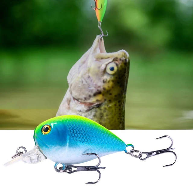 5cm 5.5g Mini Chubby Fishing Bait Realistic Shape 3D Fish Eyes Artificial  Fishing Lure Durable