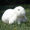 Lop Ear Rabbit High Fidelity Anime Cute White Brown Bunny Plush Toys Lifelike Animals Simulation Stuffed Doll Toy Gifts For Kids 2