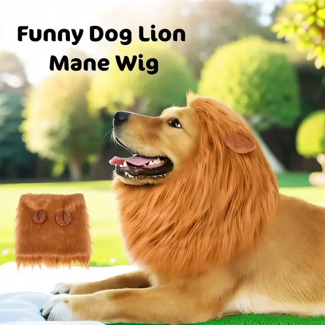 Costume creativo per cani da compagnia di grandi dimensioni