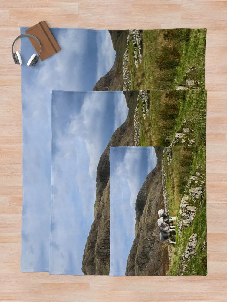 ȣ�� ���� ����� �� ������ ���, ���� �̺� ���� ħ��, ������ ���� ���