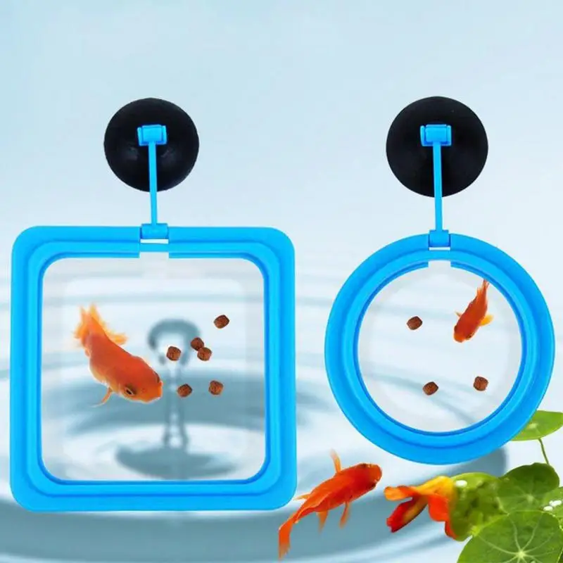

Fish Feeder Ring Aquarium Feeding Ring Fish Tank Station Floating Food Tray Feeder Fish Food Feeder With Suction Cup Black