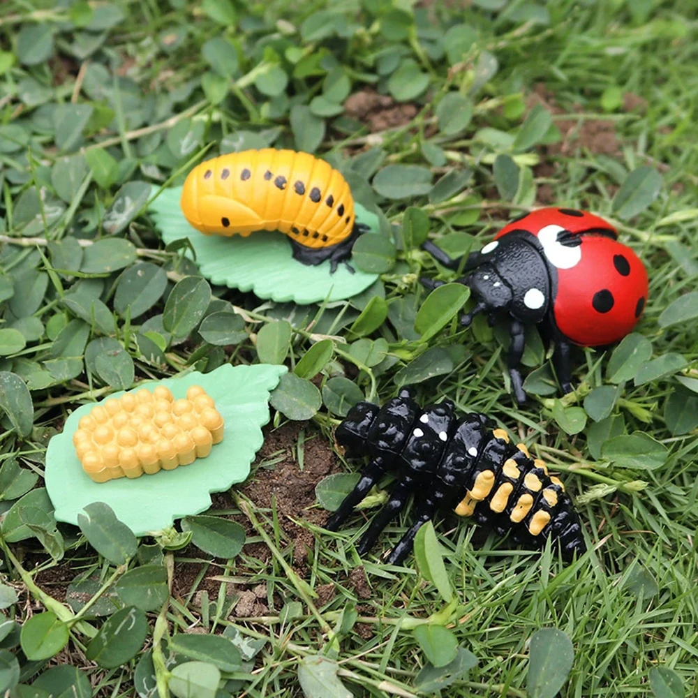 Newest Simulation Animals Growth Cycle Model Bee Spider Butterfly Action Figures Figurine Cute Kids Baby Toy Figures Educational 3