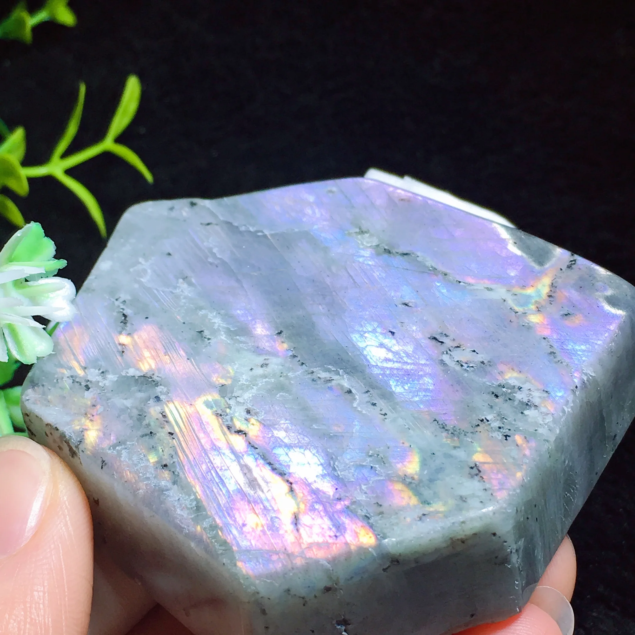 Labradorite Freedom 2430
