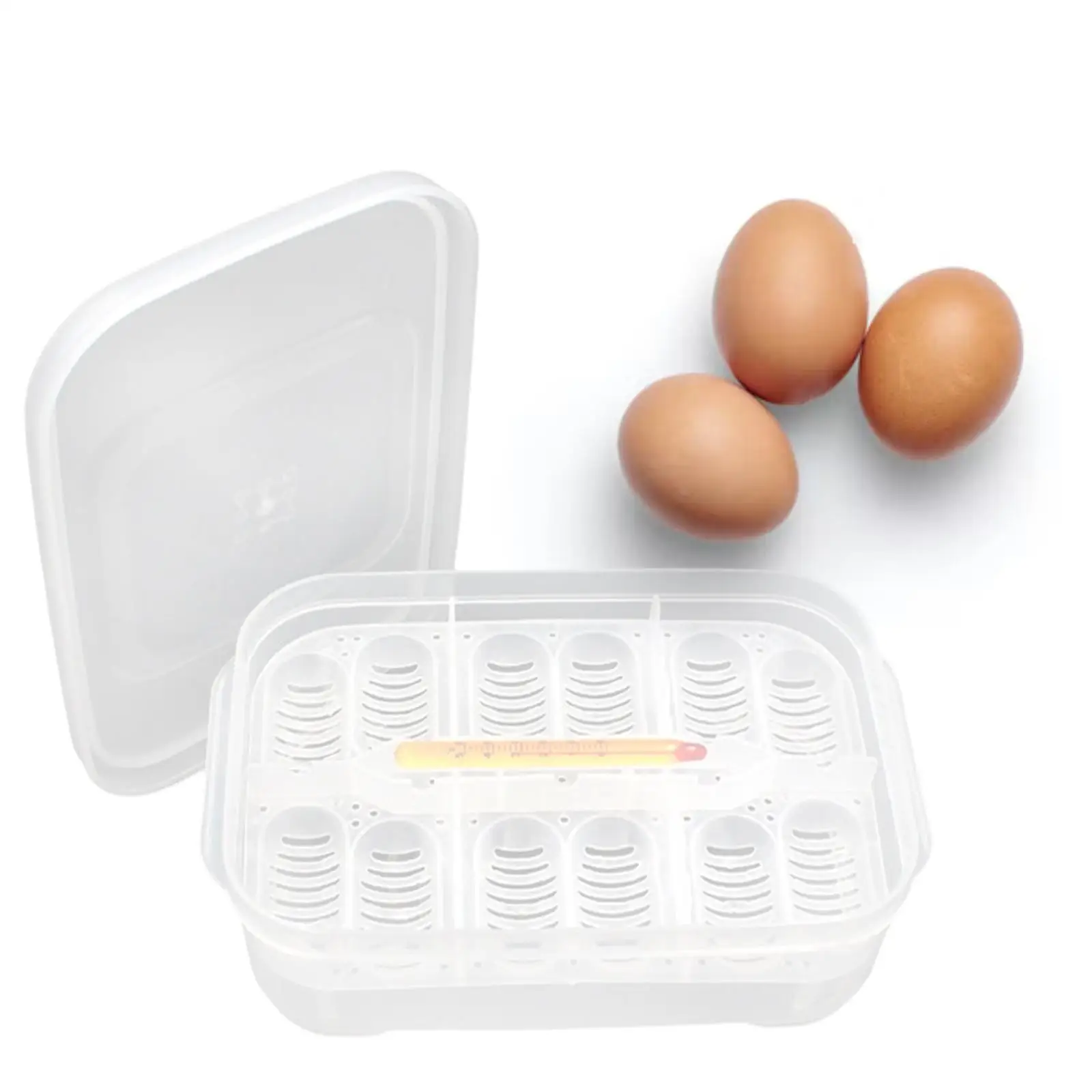 Reptile egg incubator Plastic Reptile Egg Tray Incubator 12 Grids Thermometer with Eggs Tray Tool Container for Hatching Breeding Supplies Gecko Snake
