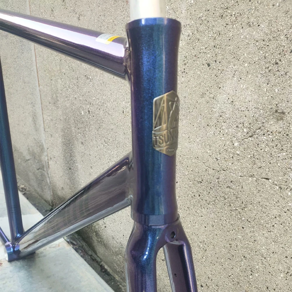 TSUNAMI SNM100 Chameleon 55CM　フレーム Chameleon Frame TSUNAMI SNM100 Fixie Frame Single Speed