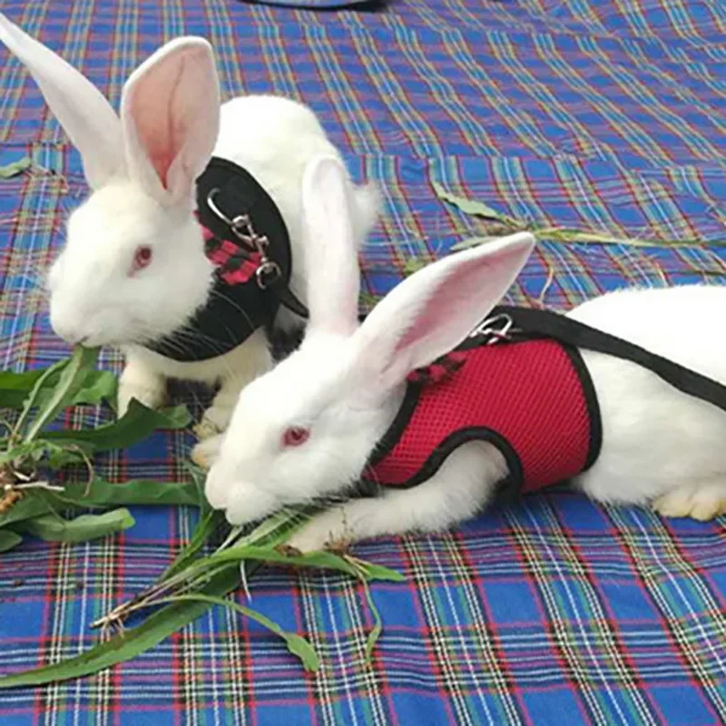 Pet Harness Rabbit Harness and Leash Set Rabbit Harness Set Small Pet Leash Pet Rabbit Hamster Mesh Soft Adjustable Harness Leash Ferret Guinea Pig Small Animal Walk Lead Bunny Pigs Chinchillas Necklace
