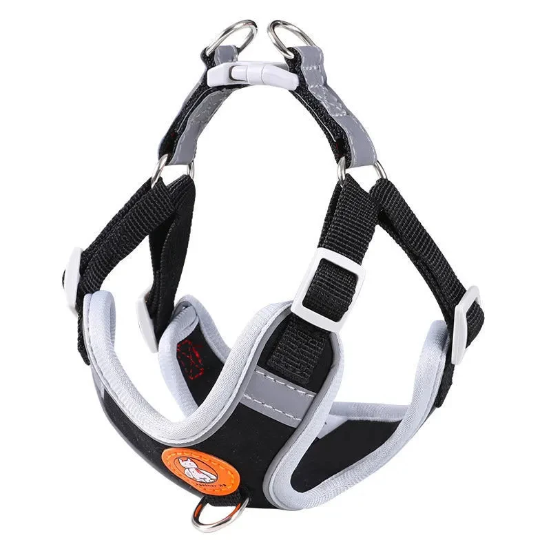 Dog Harness Set with Leash