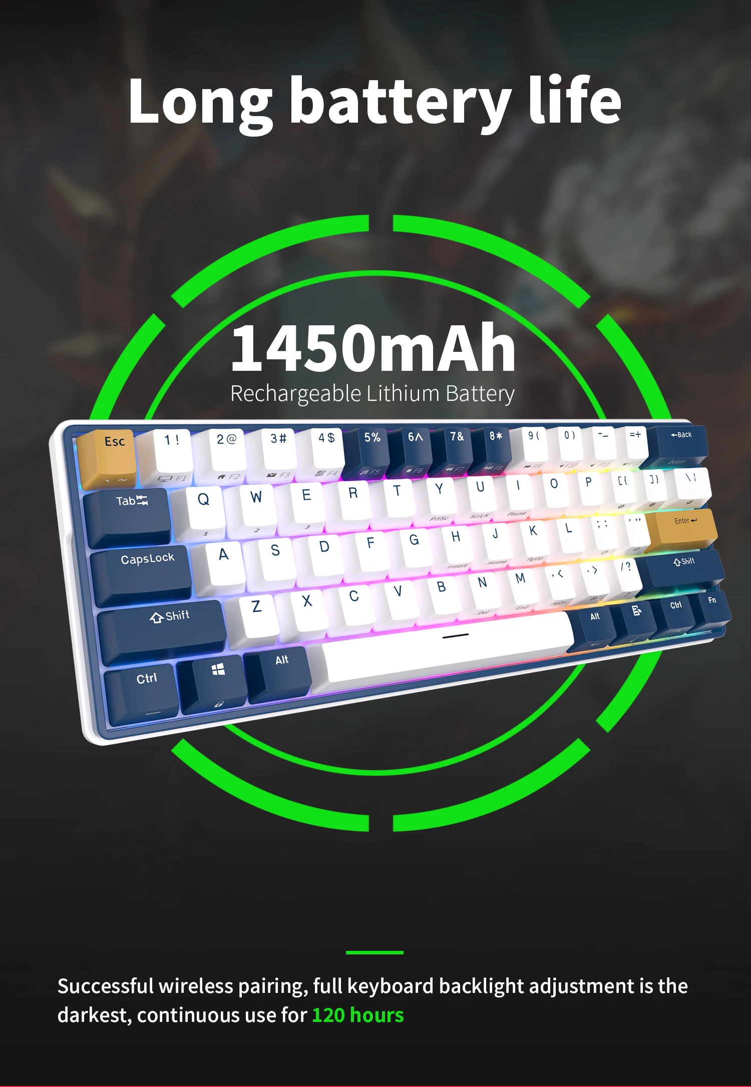 retroiluminado RGB, teclados mini gamer, hot-swappable, 61 teclas, 2.4G, RK61 Plus