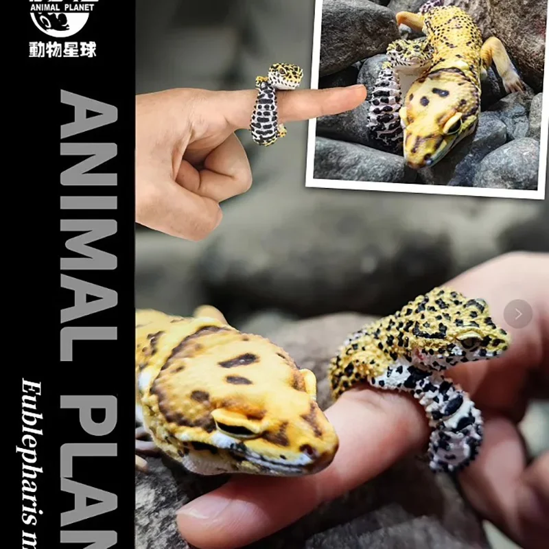 

Original Animal Planet Aciton Figure Cute Kawaii Simulated House Lizard Ring Creatures Anime Decor Resin Models Toys Gift