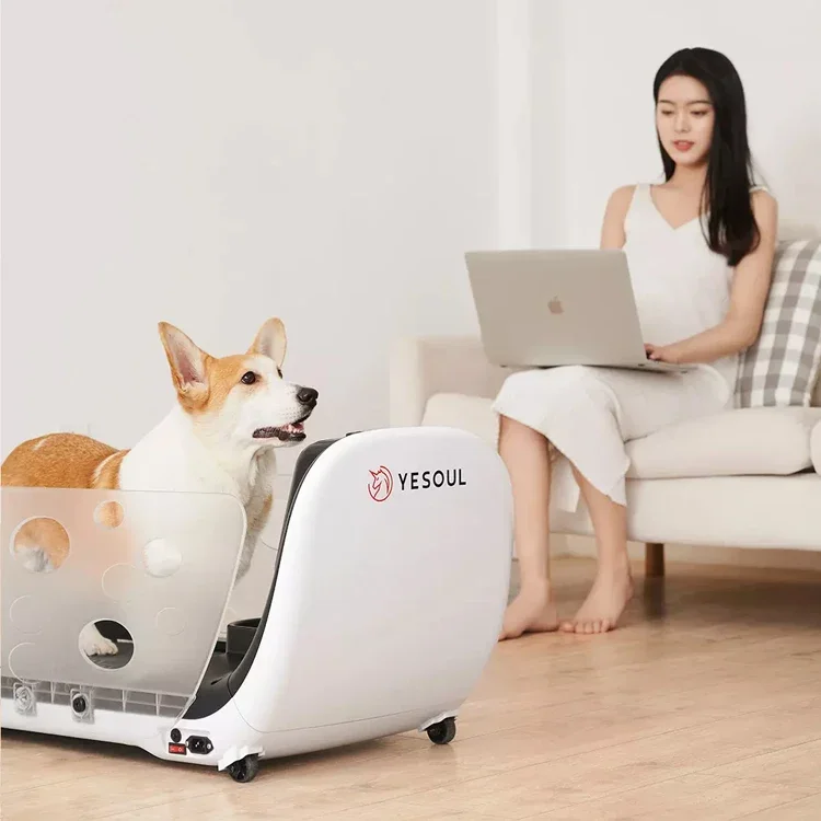 Dog treadmill
