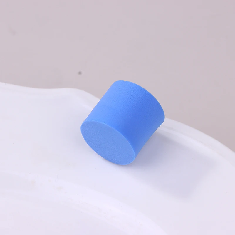 10/50 stücke Ant Farm Reagenzglas Schwamm Stecker Für Ant Nest Ant Haus Anthill Wasser Feeder Block Stopper Werkzeug zubehör – Detail 10