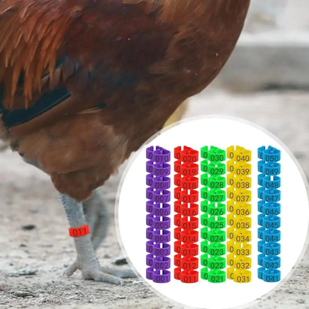 Description Picture 4 of item1.6cm 01~50 Chicken Foot Ring Turkeys Quail Foot Ring Easy Install & Remove Manually Poultry Carry Foot Ring 50/100 Pcs