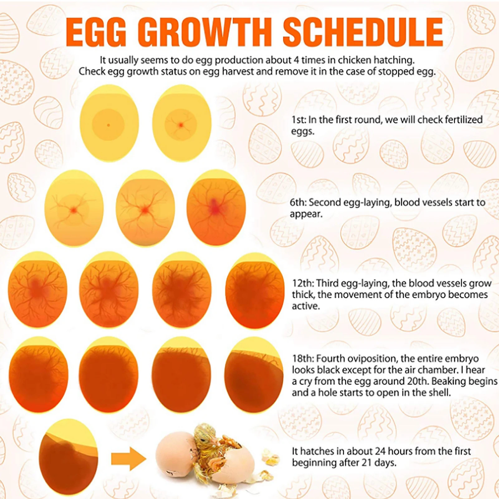 Egg Candler Bright Cool LED Light Egg Candling Lamp Growth Inspection EU Plug 100-240V