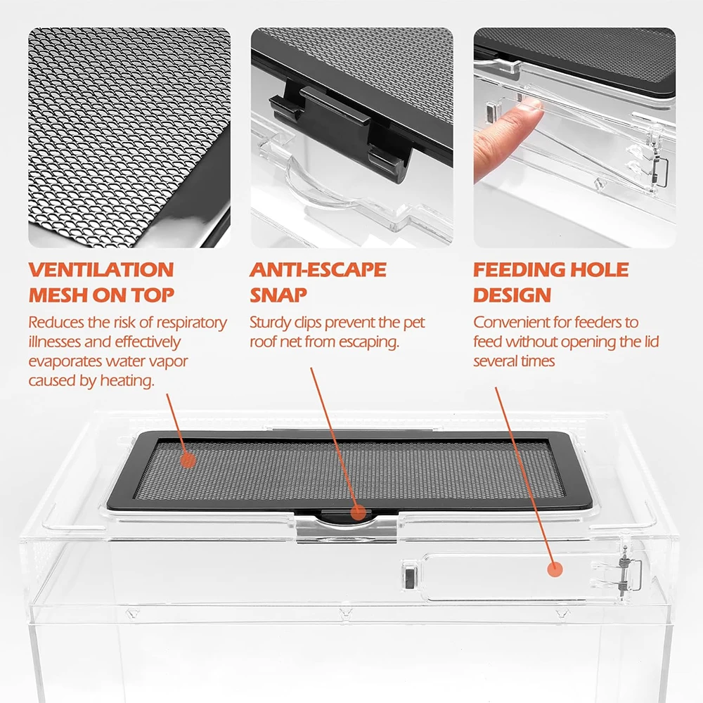Transparent Reptile Feeding Box 5