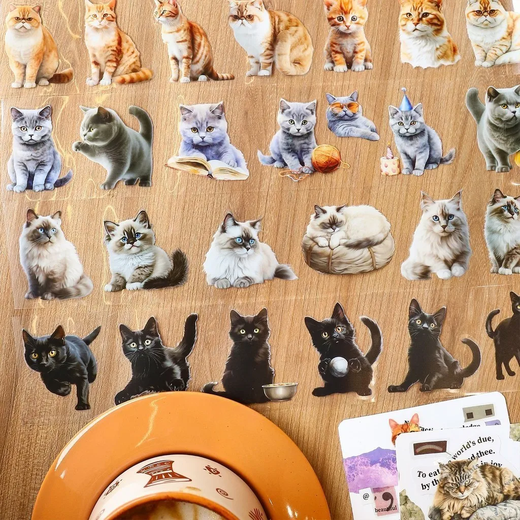 Cute Kawaiii Cat Aesthetic Washi Tape PET Washi Tapes for Journaling Scrapbooking Supplies Journals Planner Arts & Crafts