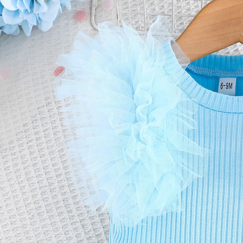 Baby Girls Summer Mesh Top and Skirt Set