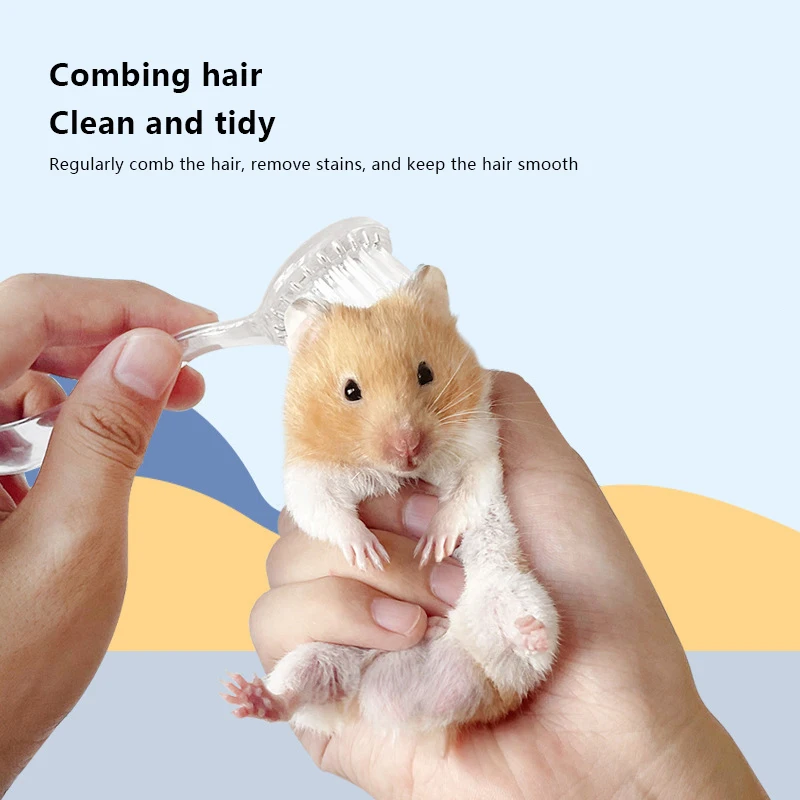 Guinea Pig Cleaning Tools Pet Grooming Brush Hedgehog Massage Bathing Combs Small Animals Cleaning And Beauty Tool Accessories