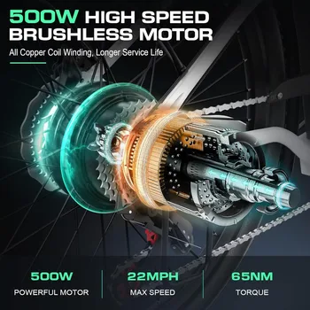 Electric Bike, 1000W Peak Ebike 22MPH Electric Bike for Adults, 48V Removable Battery, Cruise Control, 26 3