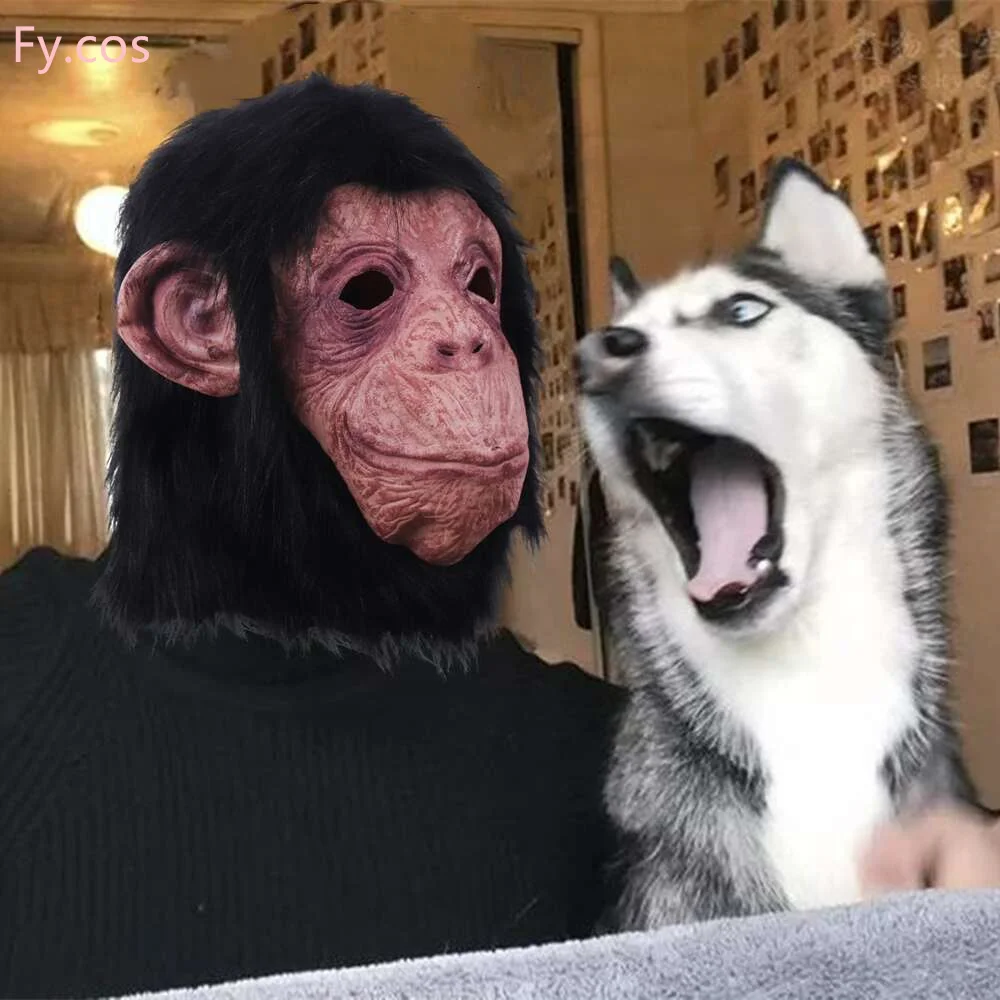  Ǯ ̽ ũ,  ؽ  īϹ Ƽ ڽ , ִ ĵ ҷ ׼,   ǻ