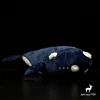 Black Right Whale High Fidelity Anime Plushie Humpback Bowhead Whale Plush Toys Lifelike Animals Simulation Stuffed Kawai Doll 1