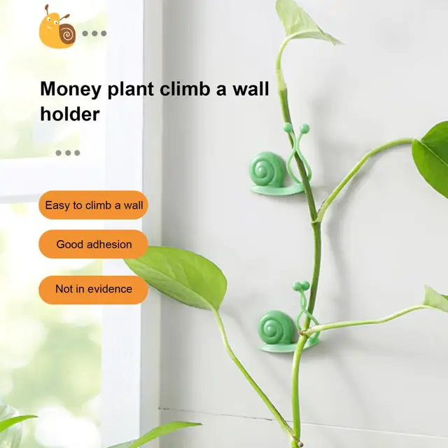10Db/Beállított Csiga Alakú Szőlő Tartó Klip Egyedi Műanyag Növényi Oltó Szép Növény Rögzített Dekorációhoz - Image 4