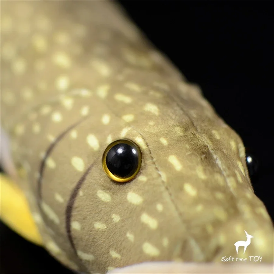 Esox Lucius High Fidelity Fish Cute Plushie Pike Plush Toys Lifelike Animals Simulation Stuffed Doll Kawai Toy Gifts 4