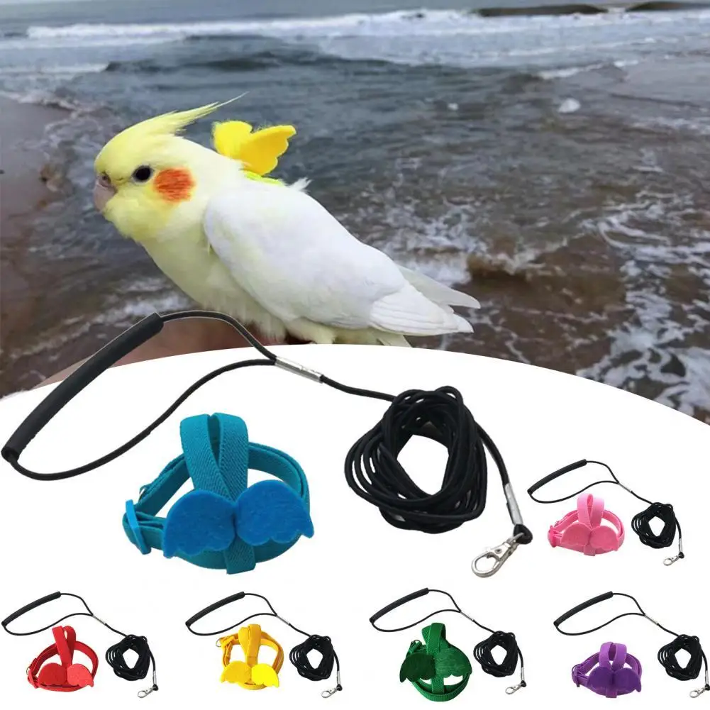 Bird Harness Leash For Cockatiel Small Birds