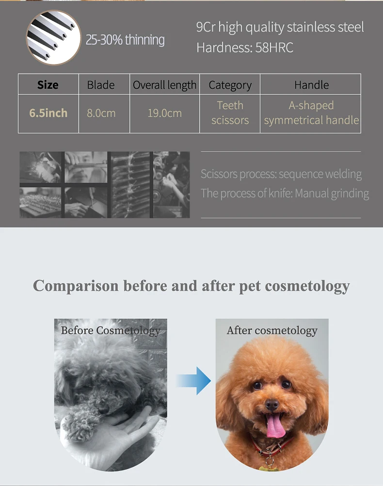 Ciseaux à effiler professionnels à lame tranchante pour le toilettage canin.