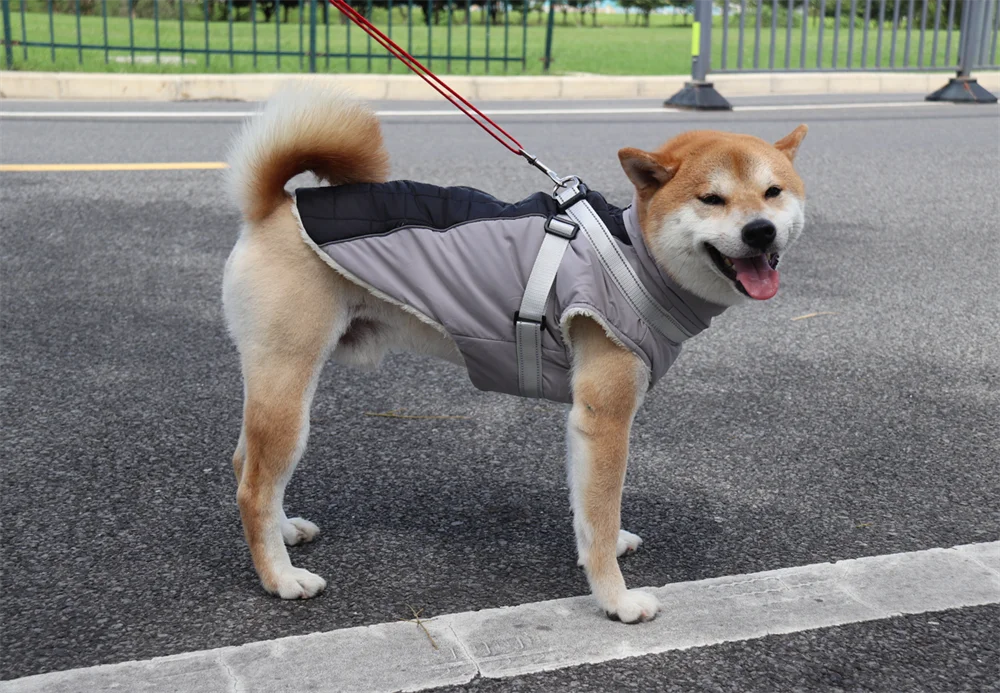Winter Dog Jacket with Harness Waterproof Outdoor Pet Coat for Small Large Dogs Reflective Thicken Warm Dog Clothes Vest Jacket