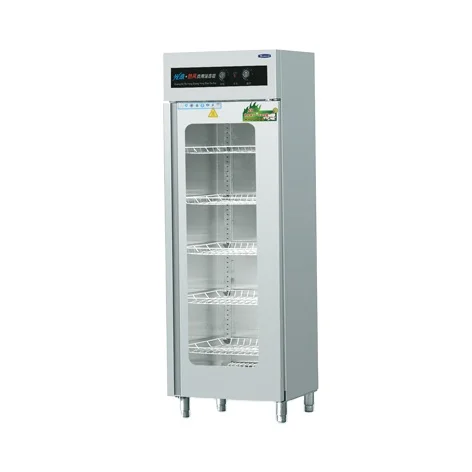 Double Door Commercial Kitchen Tableware knife Disinfection Cabinet Ozone Dish Disinfection Cabinet