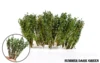 Military Miniature Diorama Model Scene Making Sand Table Building DIY Material Shrub Grass Vegetation Scale Models 4