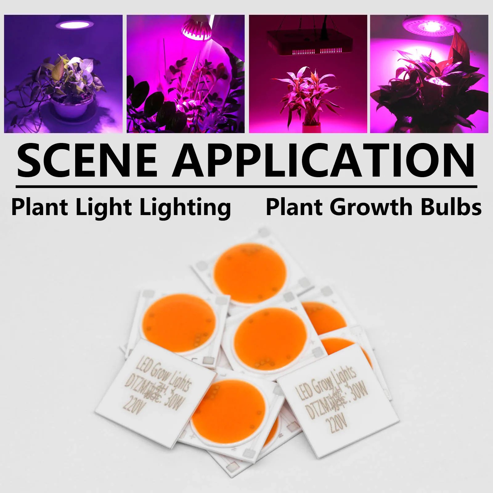 5pcs Ceramics Base LED COB Chips Full Spectrum Bulb 4KV AC 220V 10W 20W 30W For Plant Seedling Grow And Flower Growth Lighting