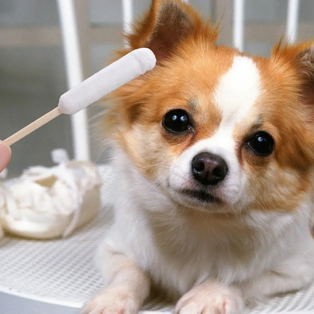 Dog Cotton Buds 50 Pcs Pet Ear Cleaning Cotton Swabs Long Multipurpose Sticks With Wood Handle For Cat Dog Removing Ear Wax